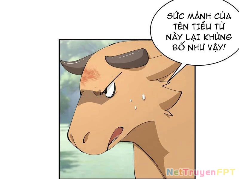 Bách Thê Phổ: Thánh nữ đều gọi ta là phu quân Chapter 41 - Trang 3