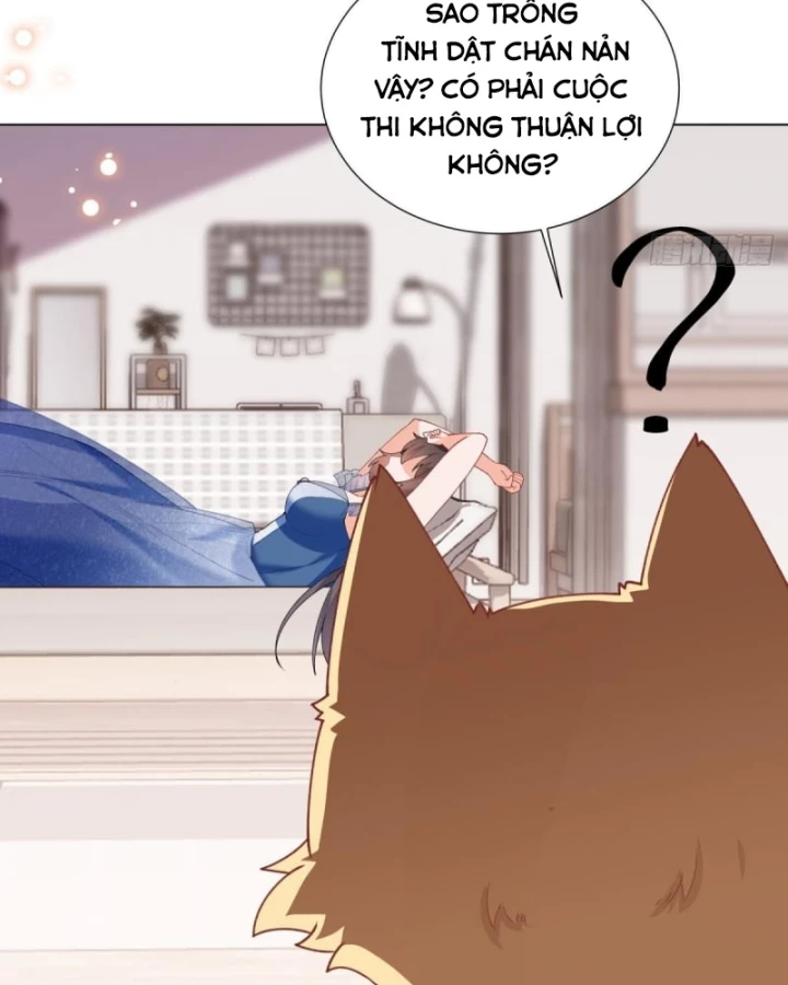 Kế Hoạch Nuôi Dưỡng Streamer Của Cẩu Hoàng Chapter 11 - Trang 3