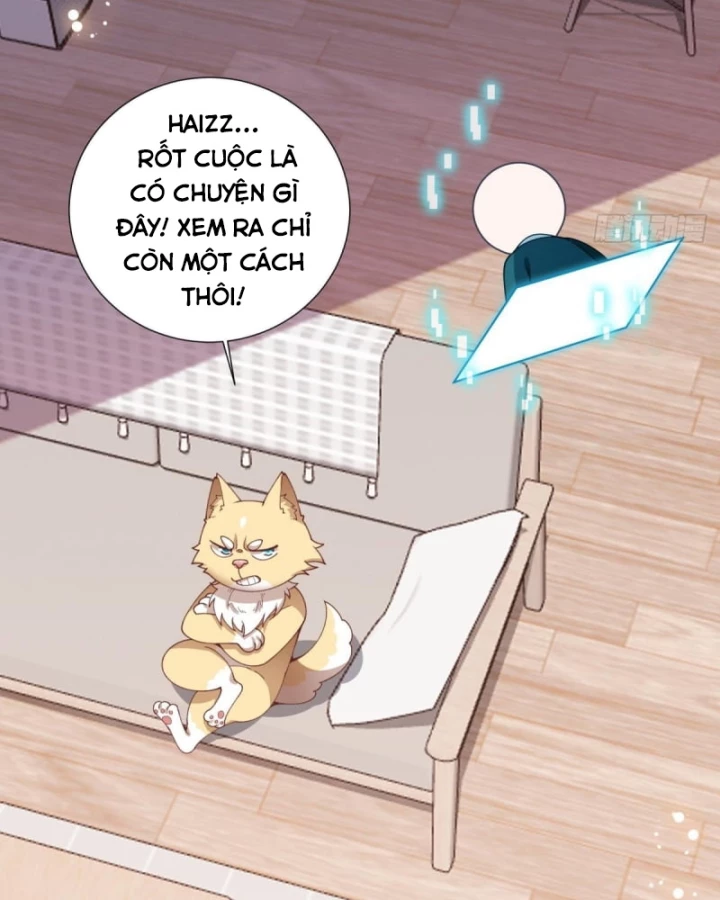 Kế Hoạch Nuôi Dưỡng Streamer Của Cẩu Hoàng Chapter 11 - Trang 3