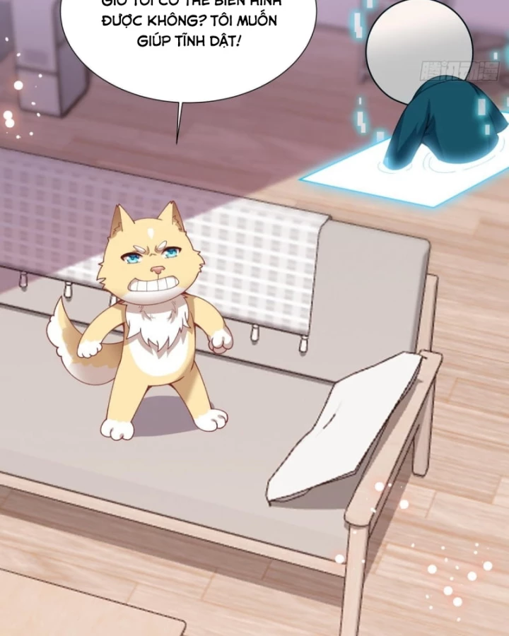 Kế Hoạch Nuôi Dưỡng Streamer Của Cẩu Hoàng Chapter 11 - Trang 3