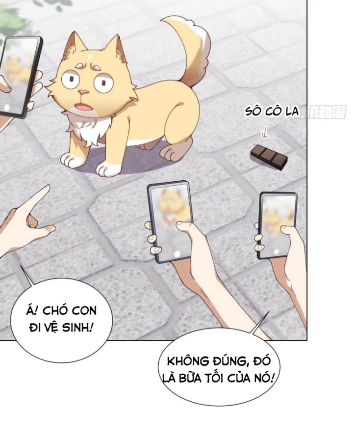 Kế Hoạch Nuôi Dưỡng Streamer Của Cẩu Hoàng Chapter 11 - Trang 3