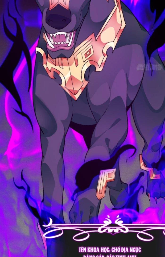 Ngự Thần Trùng Sinh Chapter 11 - Next Chapter 12