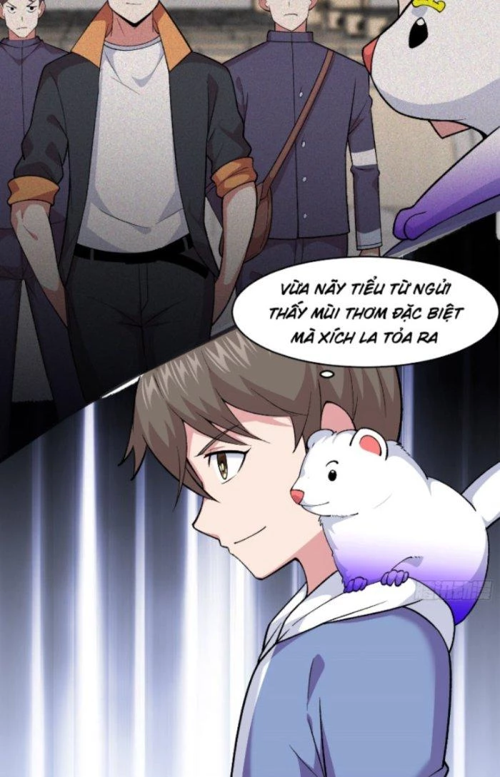 Ngự Thần Trùng Sinh Chapter 12 - Next Chapter 12.1
