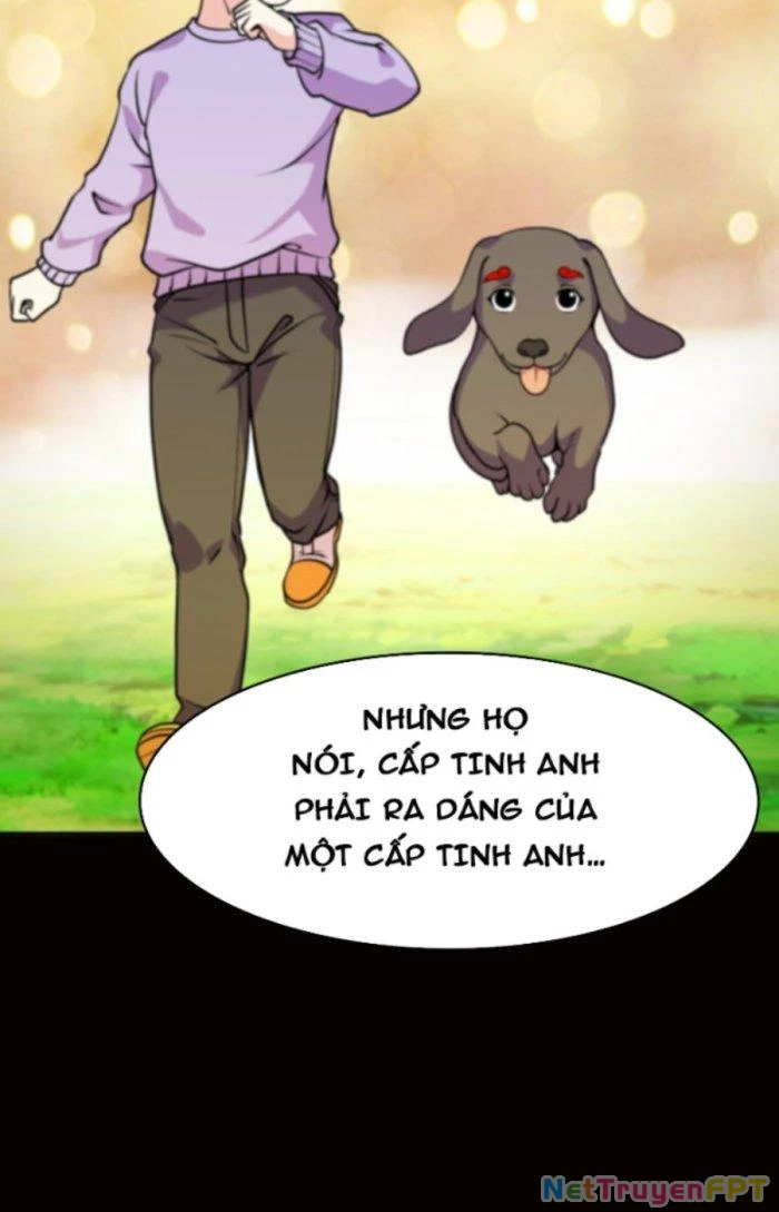 Ngự Thần Trùng Sinh Chapter 13 - Next Chapter 14