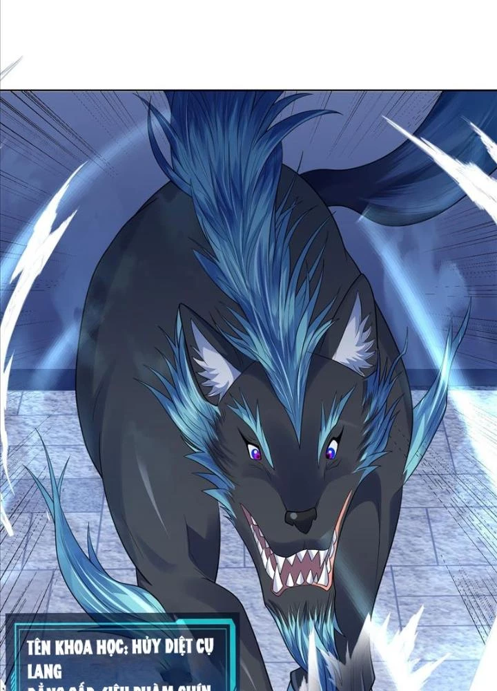 Ngự Thần Trùng Sinh Chapter 39 - Next Chapter 40