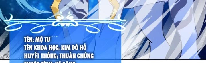 Ngự Thần Trùng Sinh Chapter 51 - Next Chapter 52