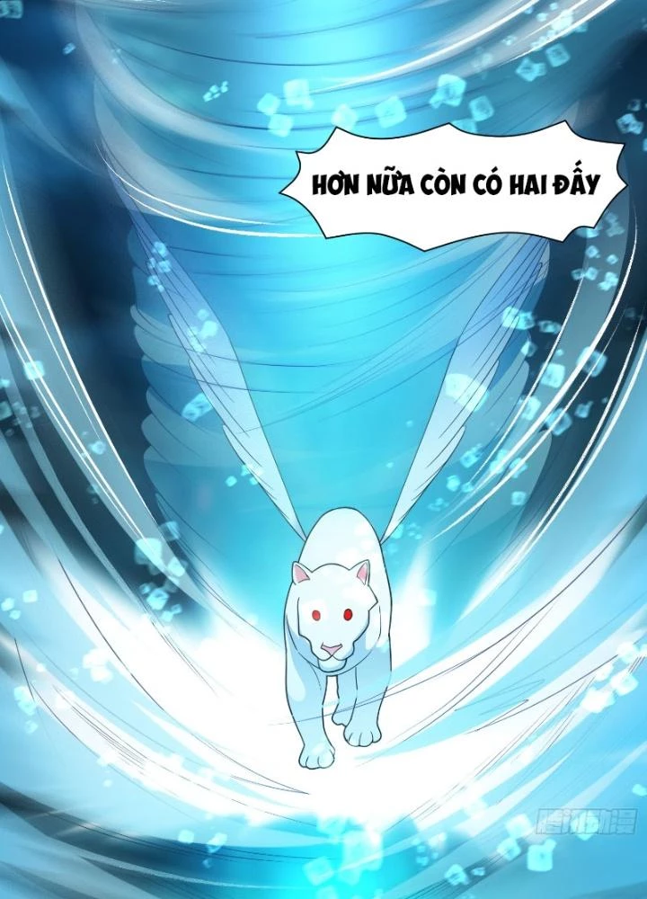 Ngự Thần Trùng Sinh Chapter 51 - Next Chapter 52