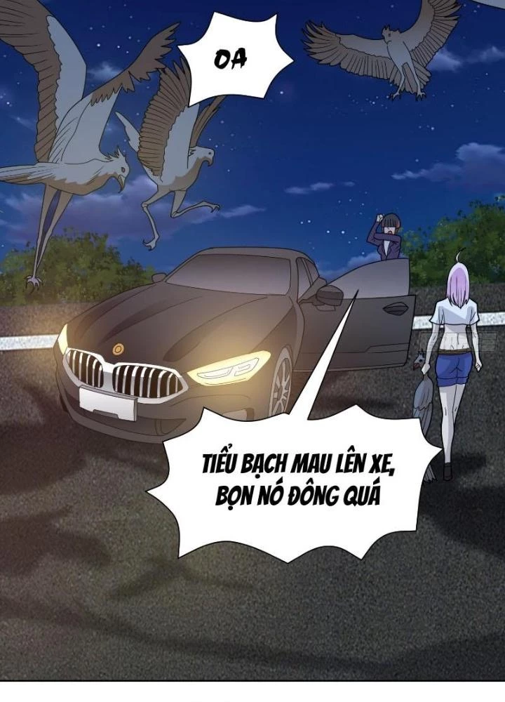 Ngự Thần Trùng Sinh Chapter 62 - Next Chapter 63