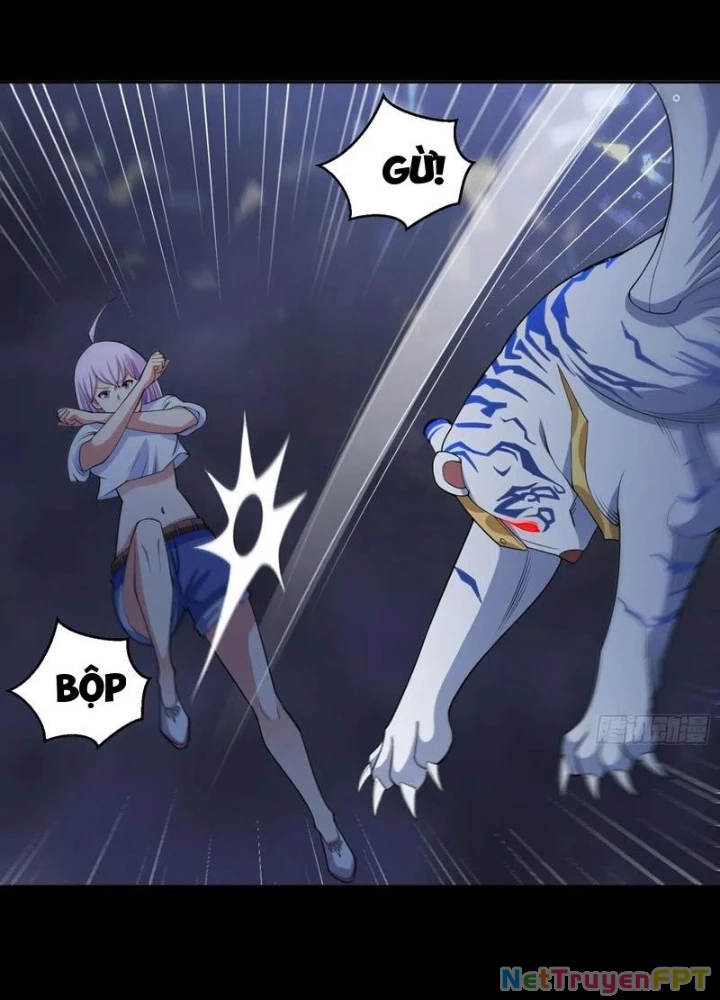 Ngự Thần Trùng Sinh Chapter 81 - Next Chapter 82