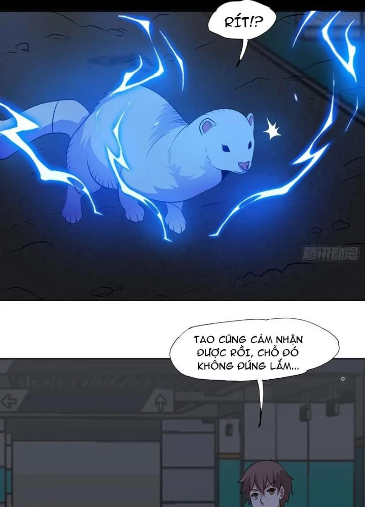 Ngự Thần Trùng Sinh Chapter 92 - Next Chapter 93