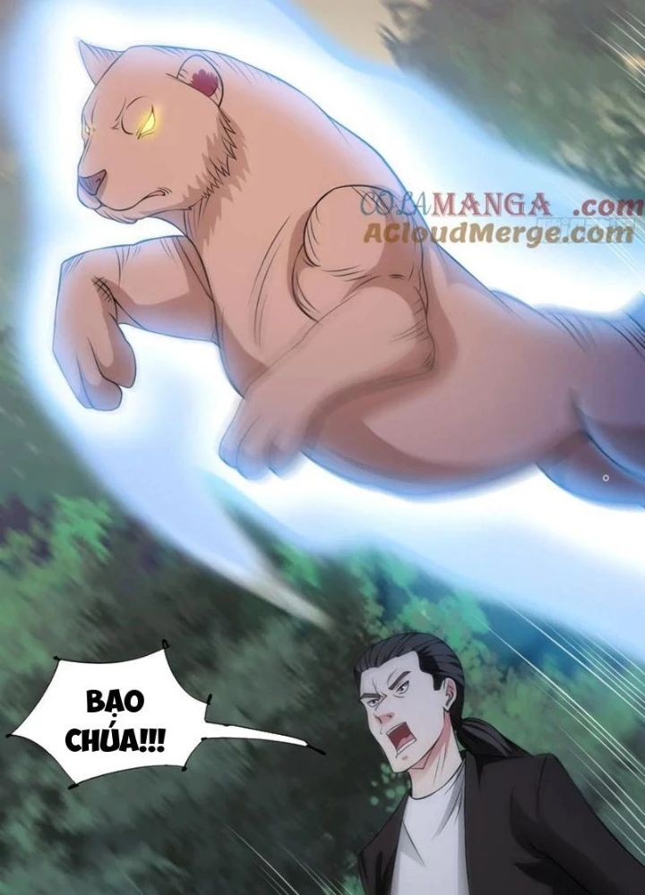 Ngự Thần Trùng Sinh Chapter 96 - Next Chapter 97