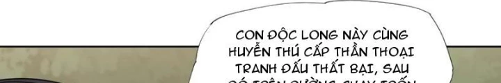 Ngự Thần Trùng Sinh Chapter 96 - Next Chapter 97