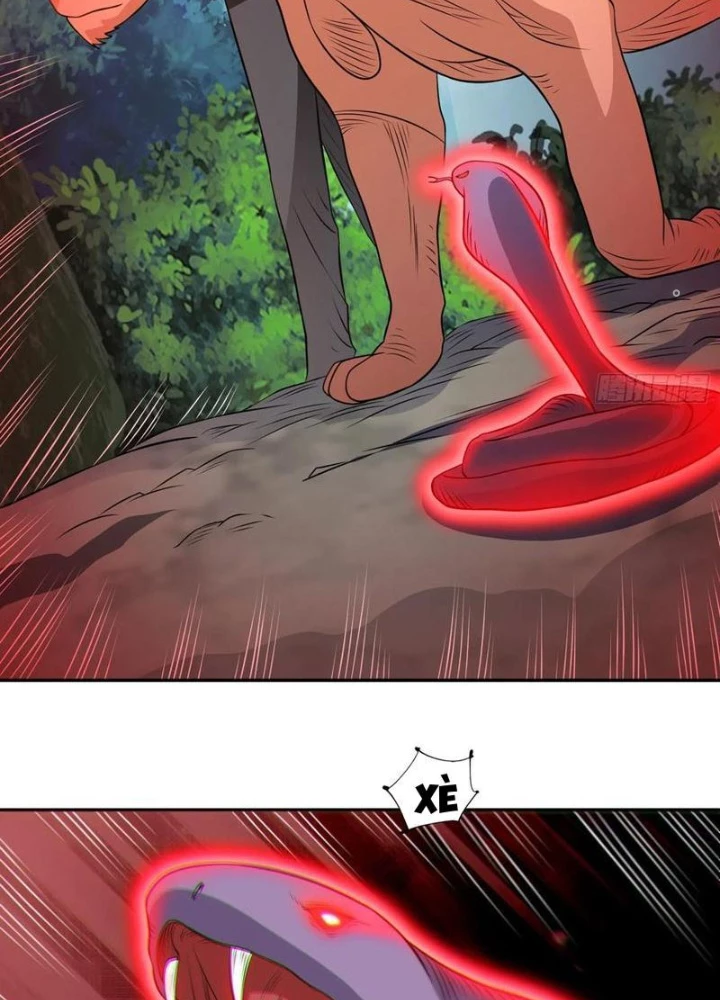 Ngự Thần Trùng Sinh Chapter 97 - Next Chapter 98
