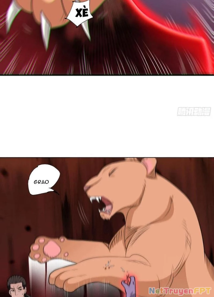 Ngự Thần Trùng Sinh Chapter 97 - Next Chapter 98