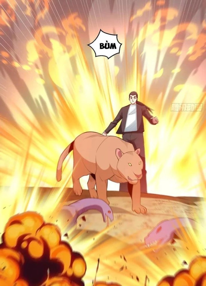 Ngự Thần Trùng Sinh Chapter 97 - Next Chapter 98