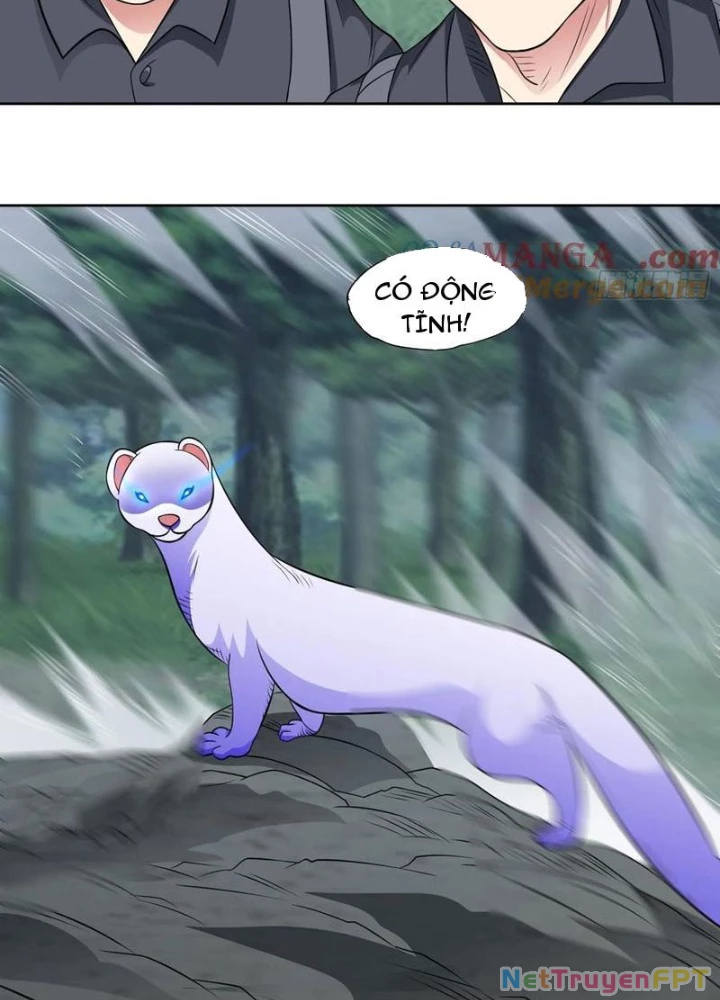 Ngự Thần Trùng Sinh Chapter 98 - Next Chapter 99