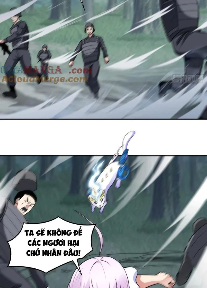 Ngự Thần Trùng Sinh Chapter 98 - Next Chapter 99