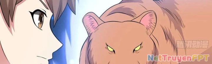Ngự Thần Trùng Sinh Chapter 102 - Next Chapter 103
