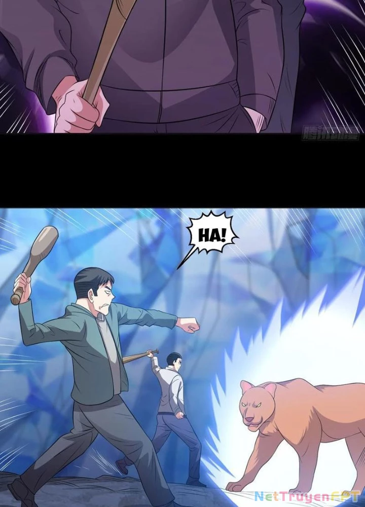 Ngự Thần Trùng Sinh Chapter 102 - Next Chapter 103