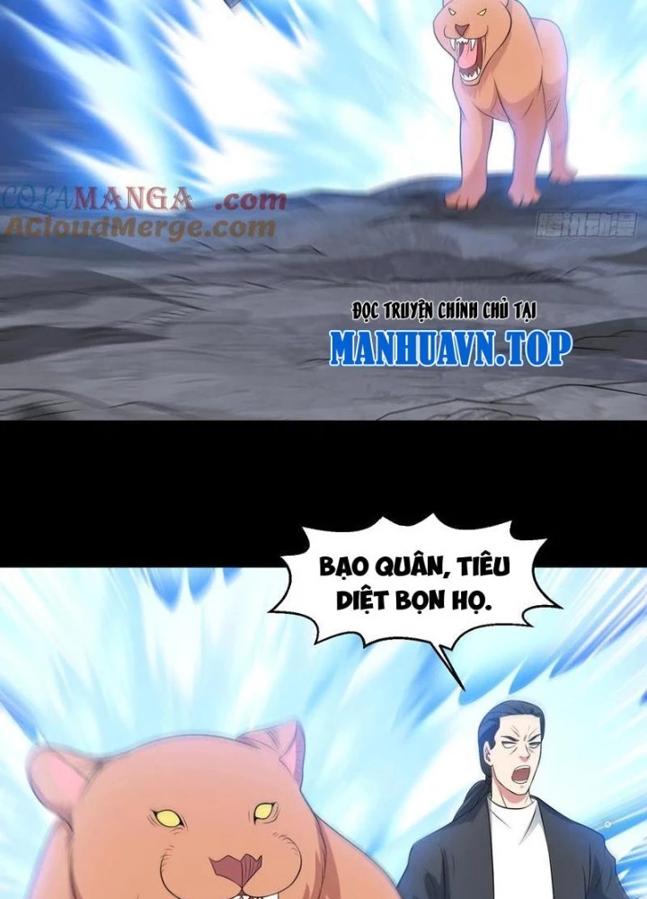 Ngự Thần Trùng Sinh Chapter 102 - Next Chapter 103