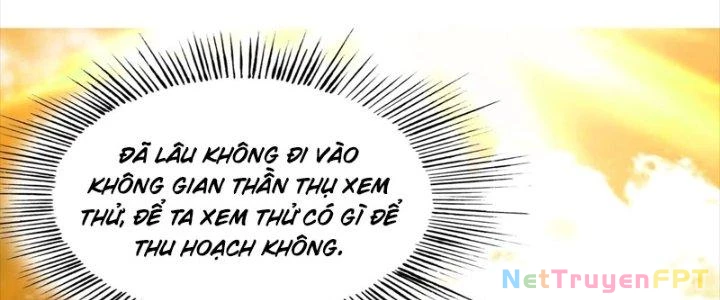 Trên Người Ta Có Một Cái Cây Thần Thoại Chapter 71 - Trang 3