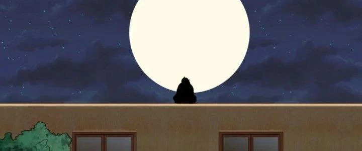 Ta Phổ Cập Tu Tiên Cho Thế Giới Chapter 11 - Trang 2