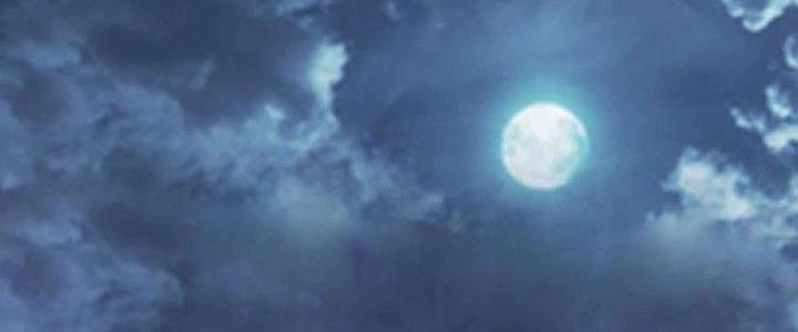 Thành Tựu Của Ta Rất Nhiều Chapter 33 - Trang 3