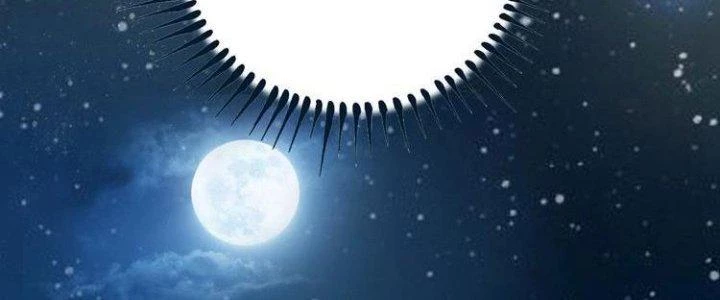 Thành Tựu Của Ta Rất Nhiều Chapter 42 - Trang 3