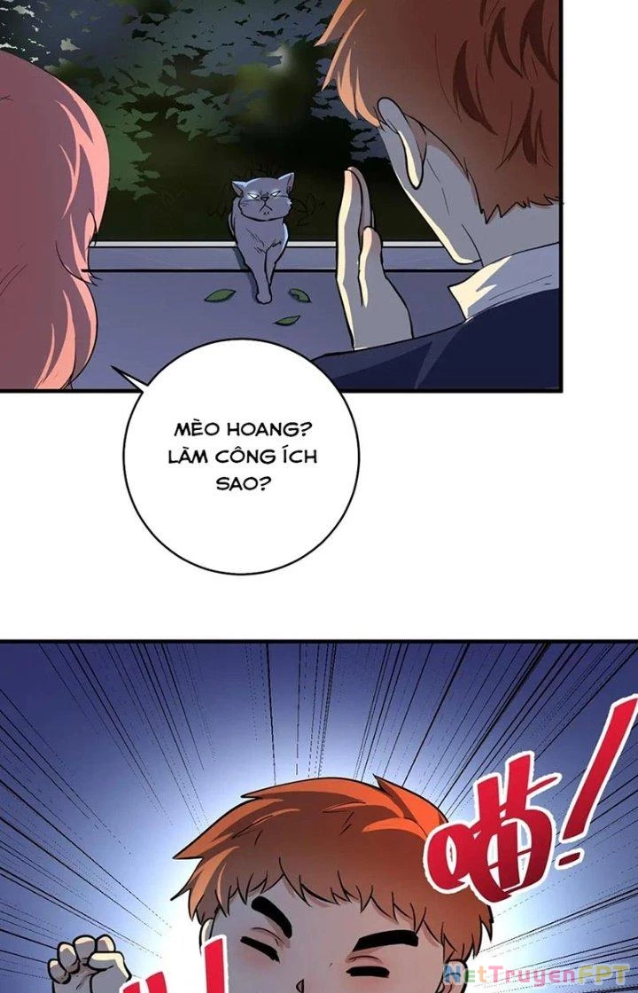Thành Tựu Của Ta Rất Nhiều Chapter 235 - Trang 3