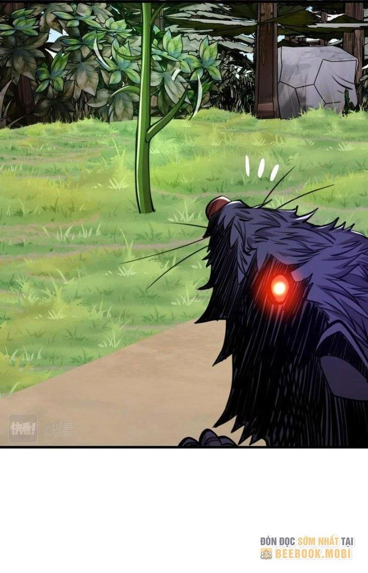 Mạt Thế Triệu Hoán Cuồng Triều Chapter 17 - Trang 3