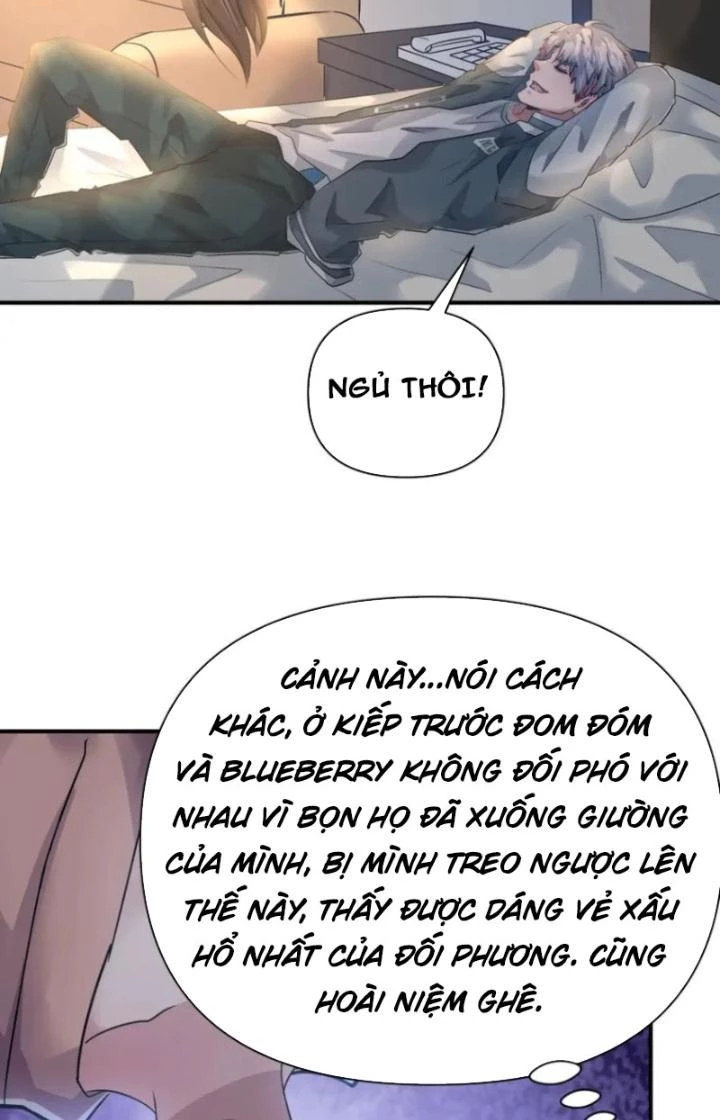 Vương Giả Săn Mồi Chapter 114 - Trang 4
