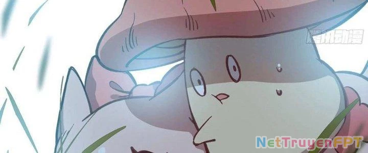 Dũng Sĩ Nấm Chapter 12 - Next Chapter 13