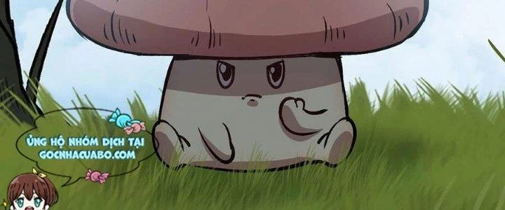 Dũng Sĩ Nấm Chapter 13 - Next Chapter 14