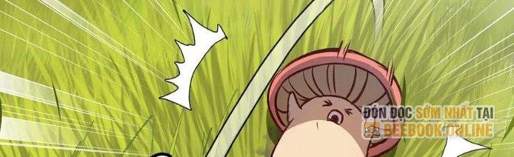 Dũng Sĩ Nấm Chapter 13 - Next Chapter 14