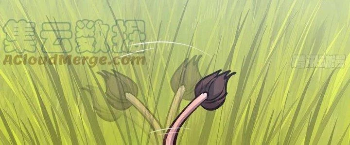 Dũng Sĩ Nấm Chapter 13 - Next Chapter 14