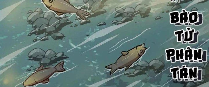 Dũng Sĩ Nấm Chapter 14 - Trang 4