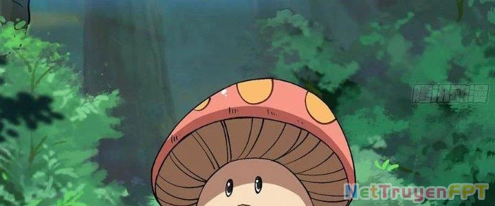 Dũng Sĩ Nấm Chapter 15 - Trang 4