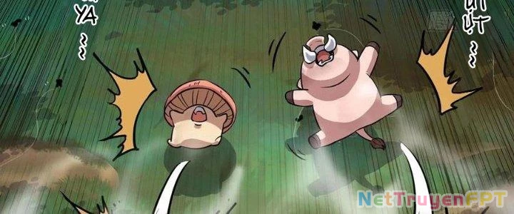 Dũng Sĩ Nấm Chapter 16 - Trang 4