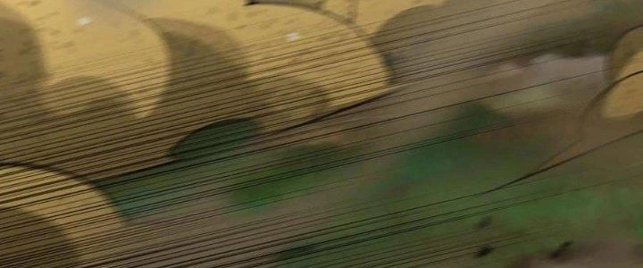 Dũng Sĩ Nấm Chapter 16 - Trang 4