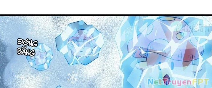 Dũng Sĩ Nấm Chapter 27 - Trang 3