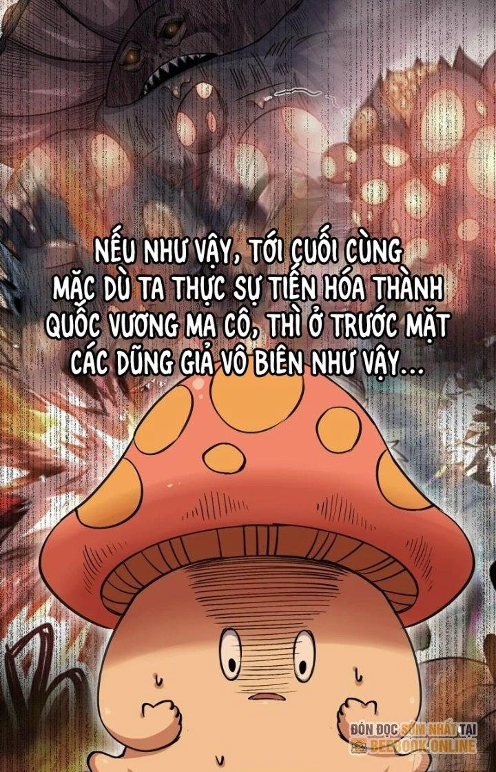 Dũng Sĩ Nấm Chapter 42 - Trang 4