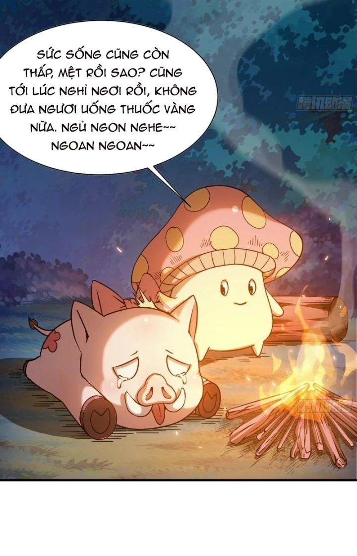 Dũng Sĩ Nấm Chapter 45 - Trang 4