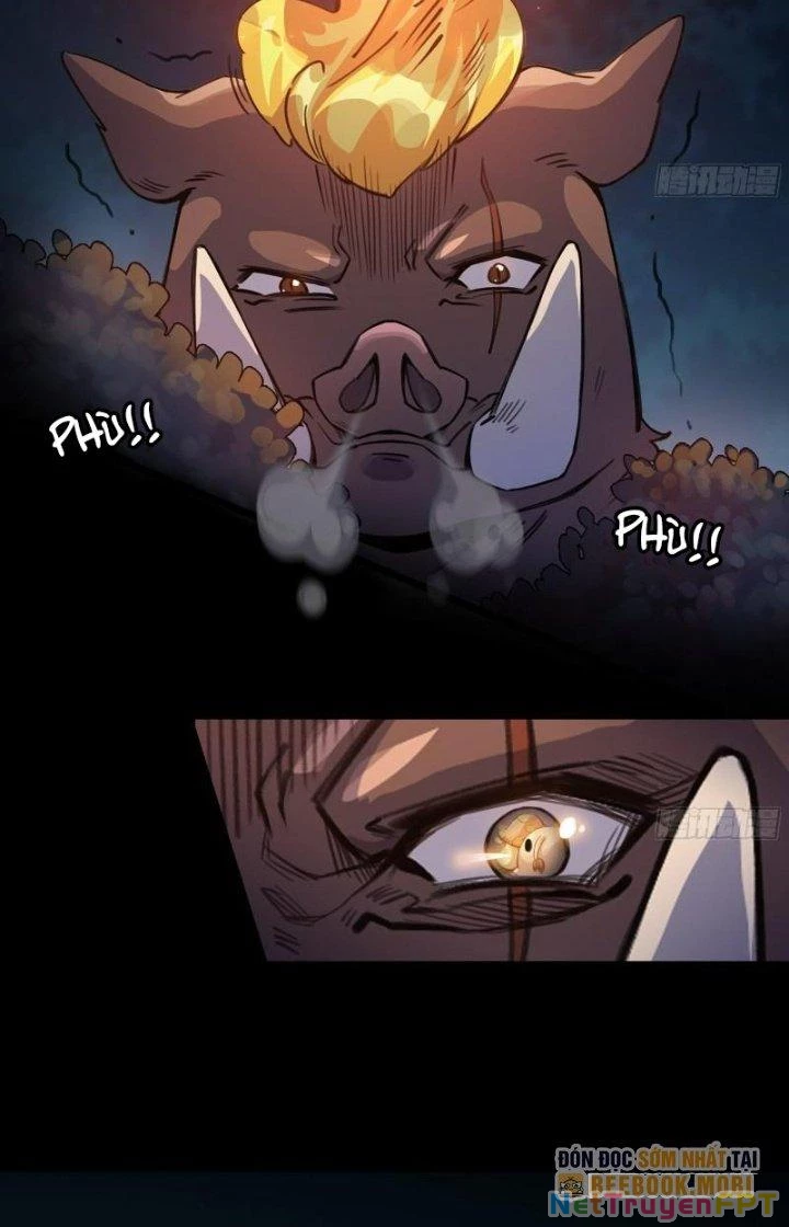 Dũng Sĩ Nấm Chapter 45 - Trang 4
