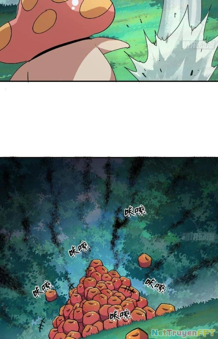 Dũng Sĩ Nấm Chapter 46 - Trang 4