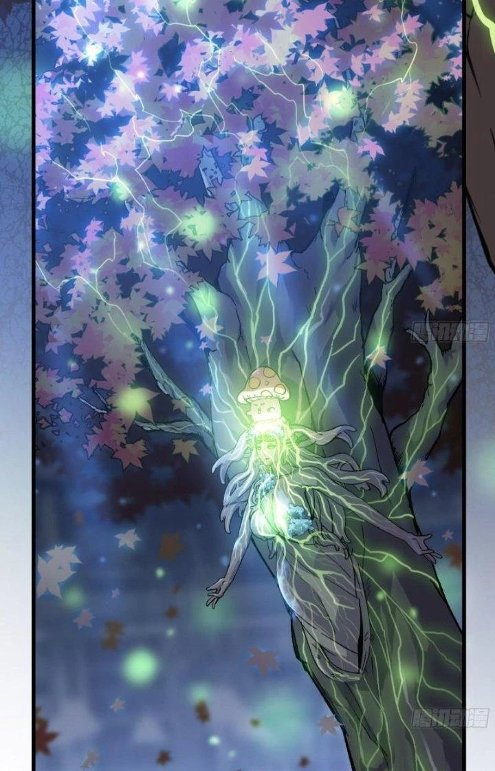 Dũng Sĩ Nấm Chapter 52 - Trang 4