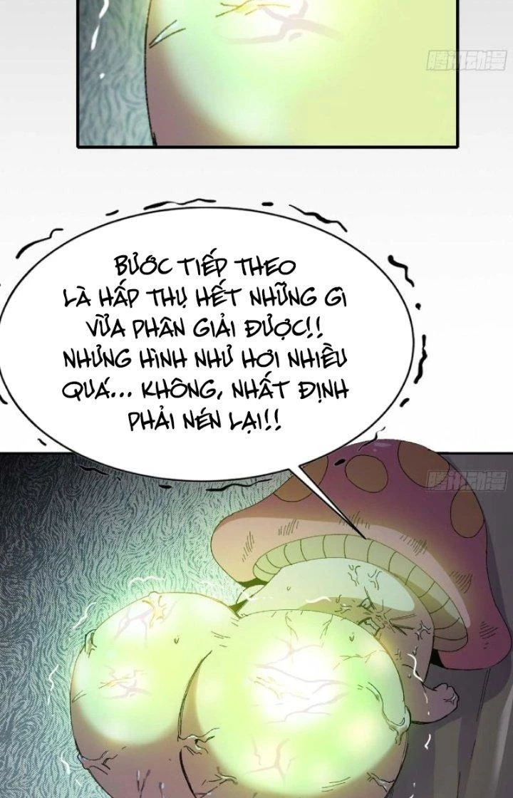 Dũng Sĩ Nấm Chapter 52 - Trang 4