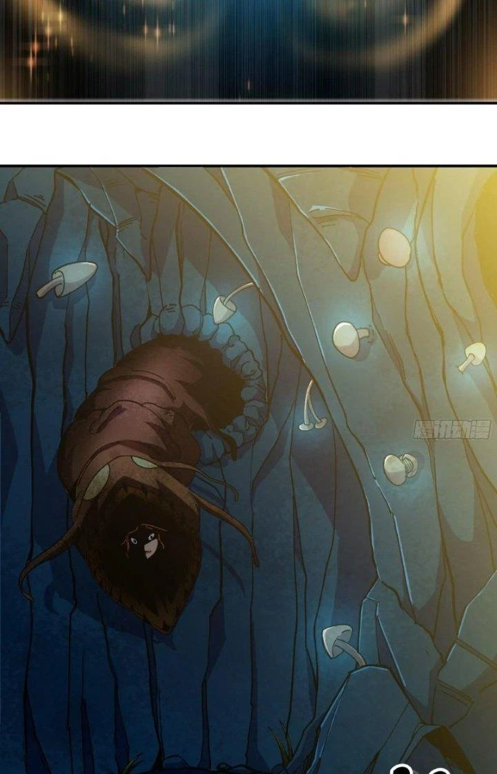 Dũng Sĩ Nấm Chapter 62 - Trang 4