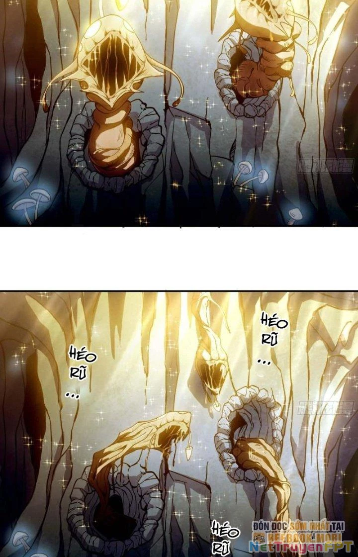 Dũng Sĩ Nấm Chapter 63 - Trang 4