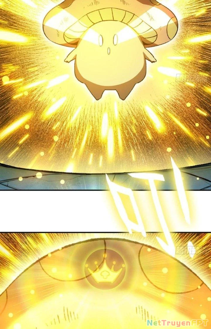 Dũng Sĩ Nấm Chapter 71 - Trang 3