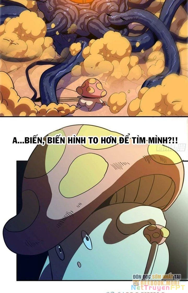 Dũng Sĩ Nấm Chapter 95 - Trang 4